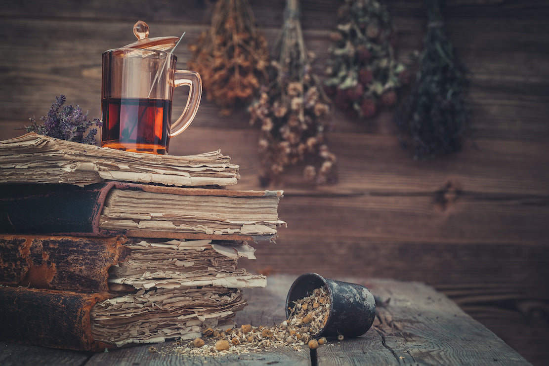 The History Of Herbal Medicine: From Ancient Times To Modern Day ...