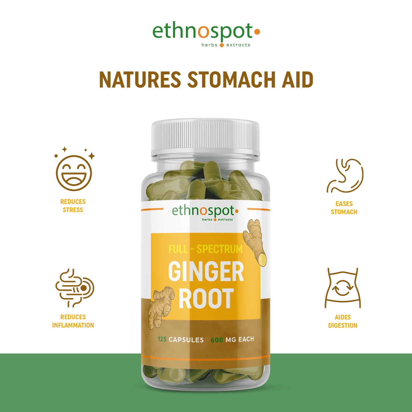 Ginger Root Capsules - Digestive Support Herbal Supplement