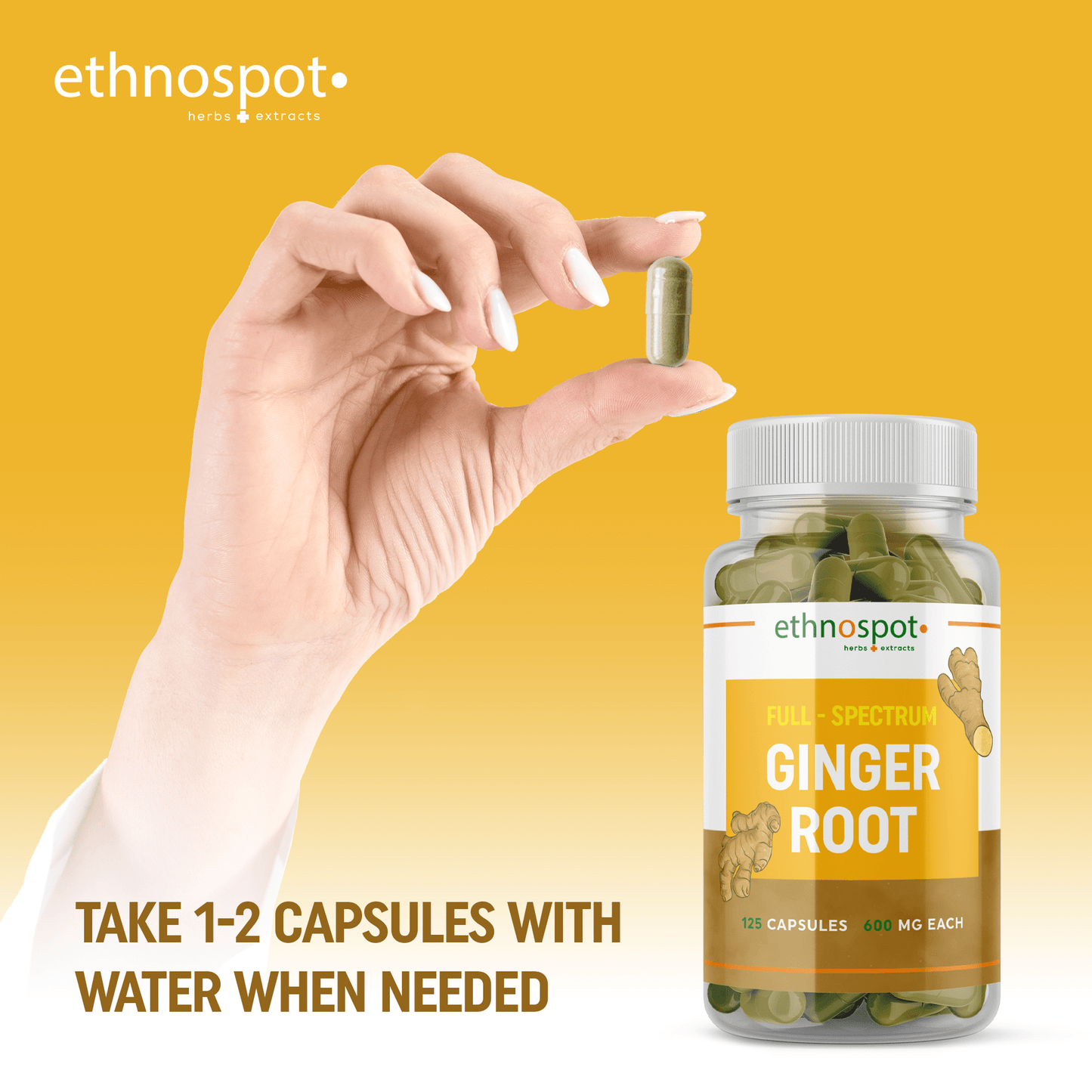 Ginger Root Capsules - Digestive Support Herbal Supplement