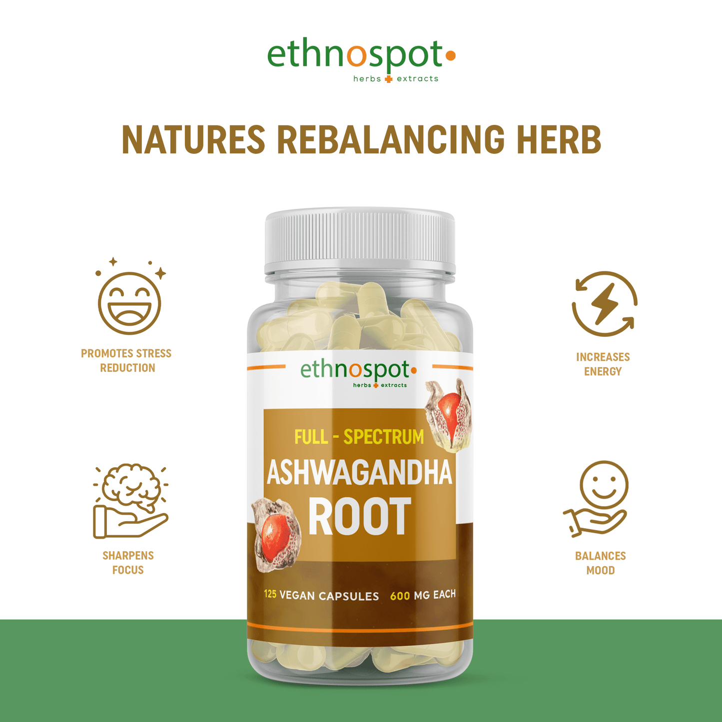 Ashwagandha Root Capsules - Stress Reducing Herbal Supplement