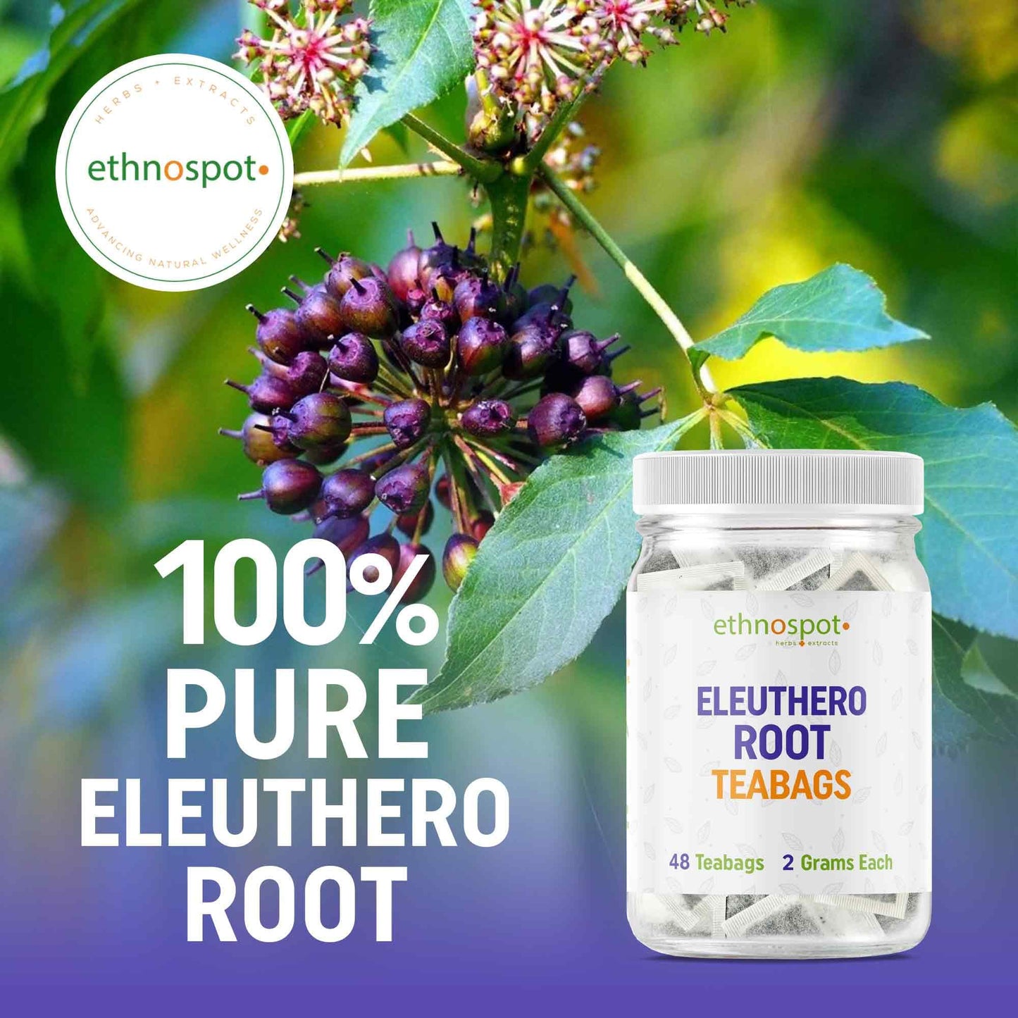 Eleuthero Root Teabags- Energy Enhancing Herbal Tea