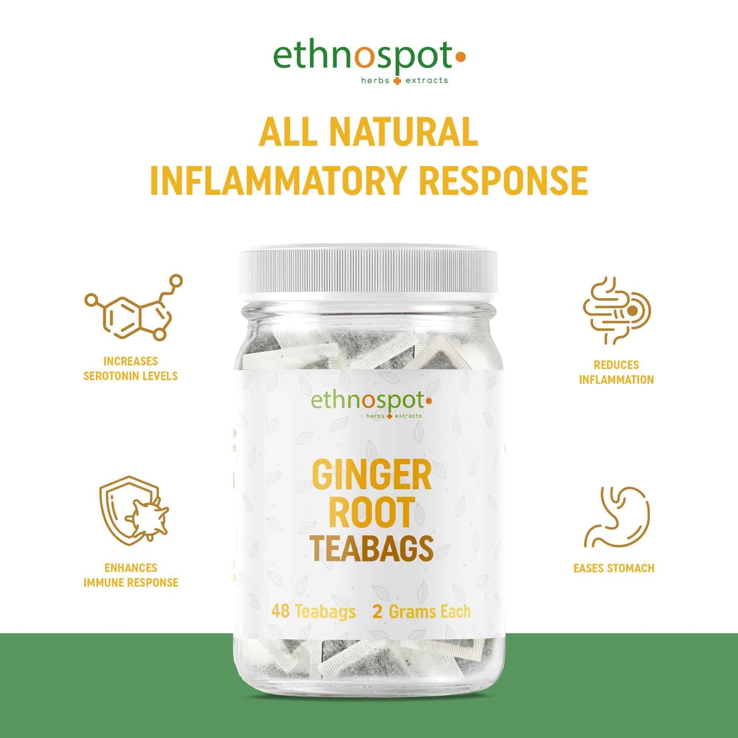 Ginger Root Teabags - Digestive Support Herbal Tea