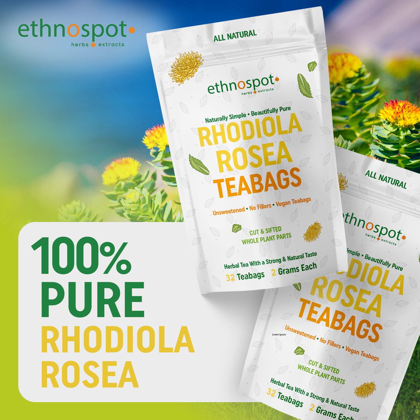 Rhodiola Rosea Tea - 32 Teabags