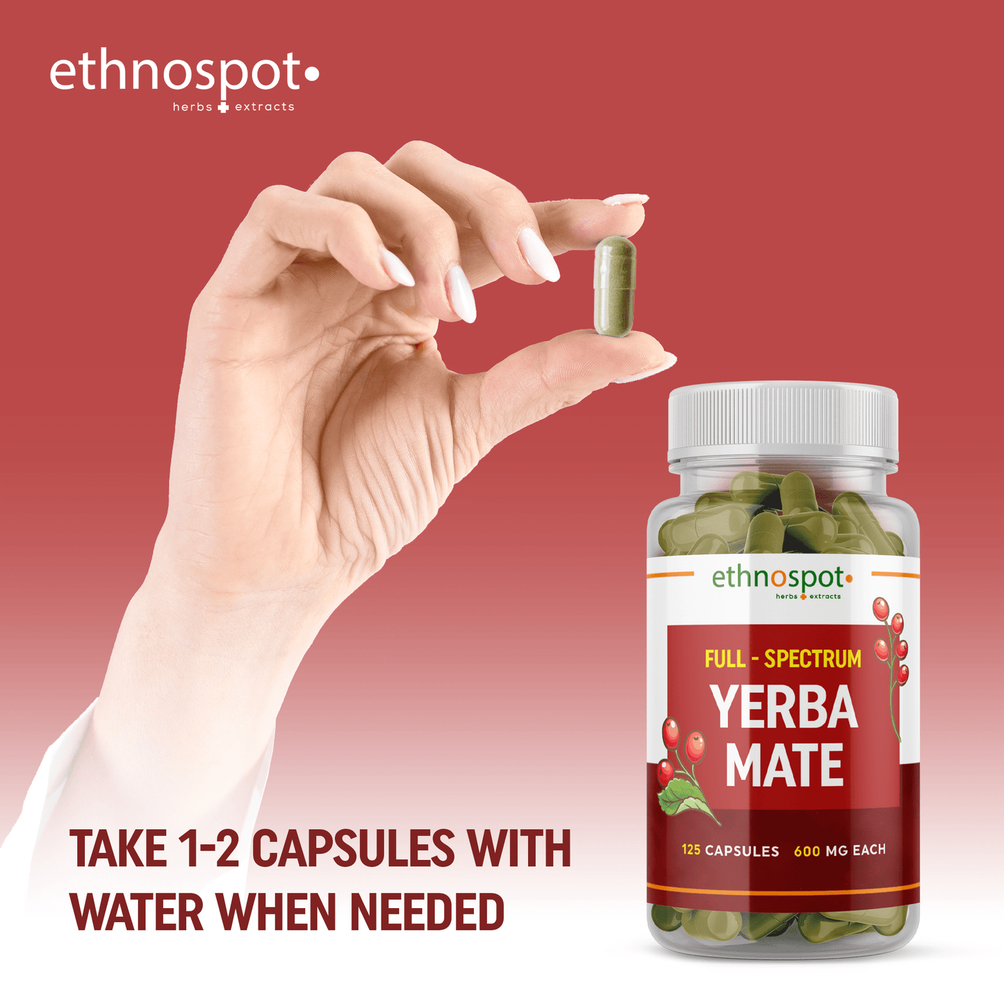 Yerba Mate Capsules - Mental Clarity & Energy Herbal Supplement