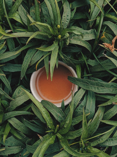 tea in shrubbery