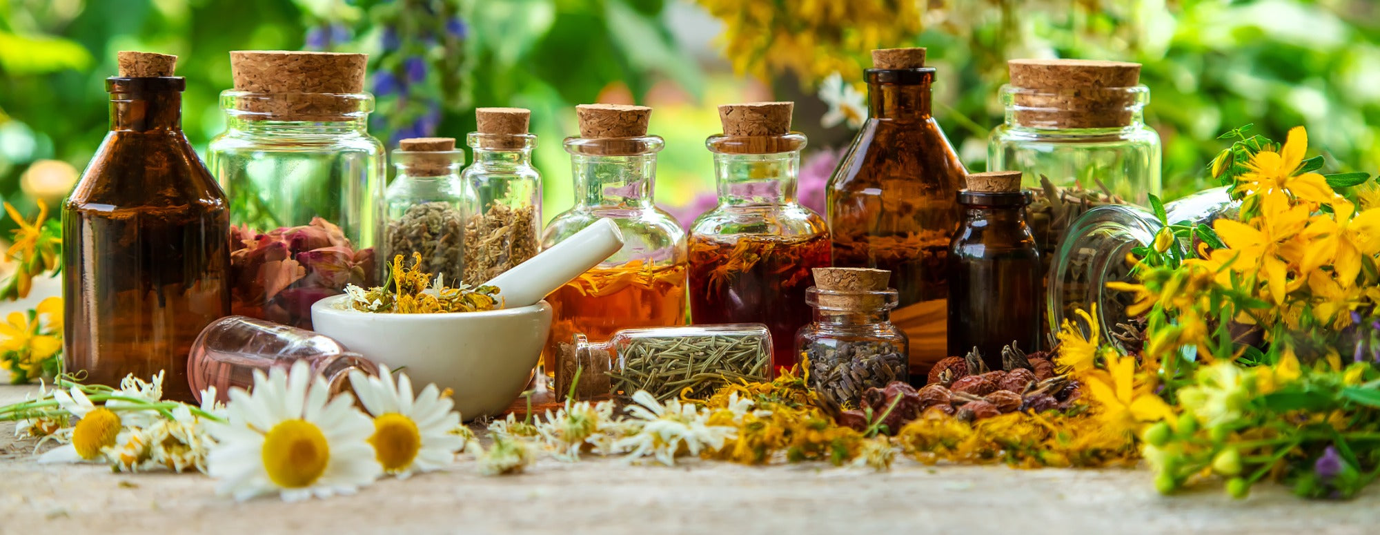 Herbal Supplements for Stress Management – Ethnospot