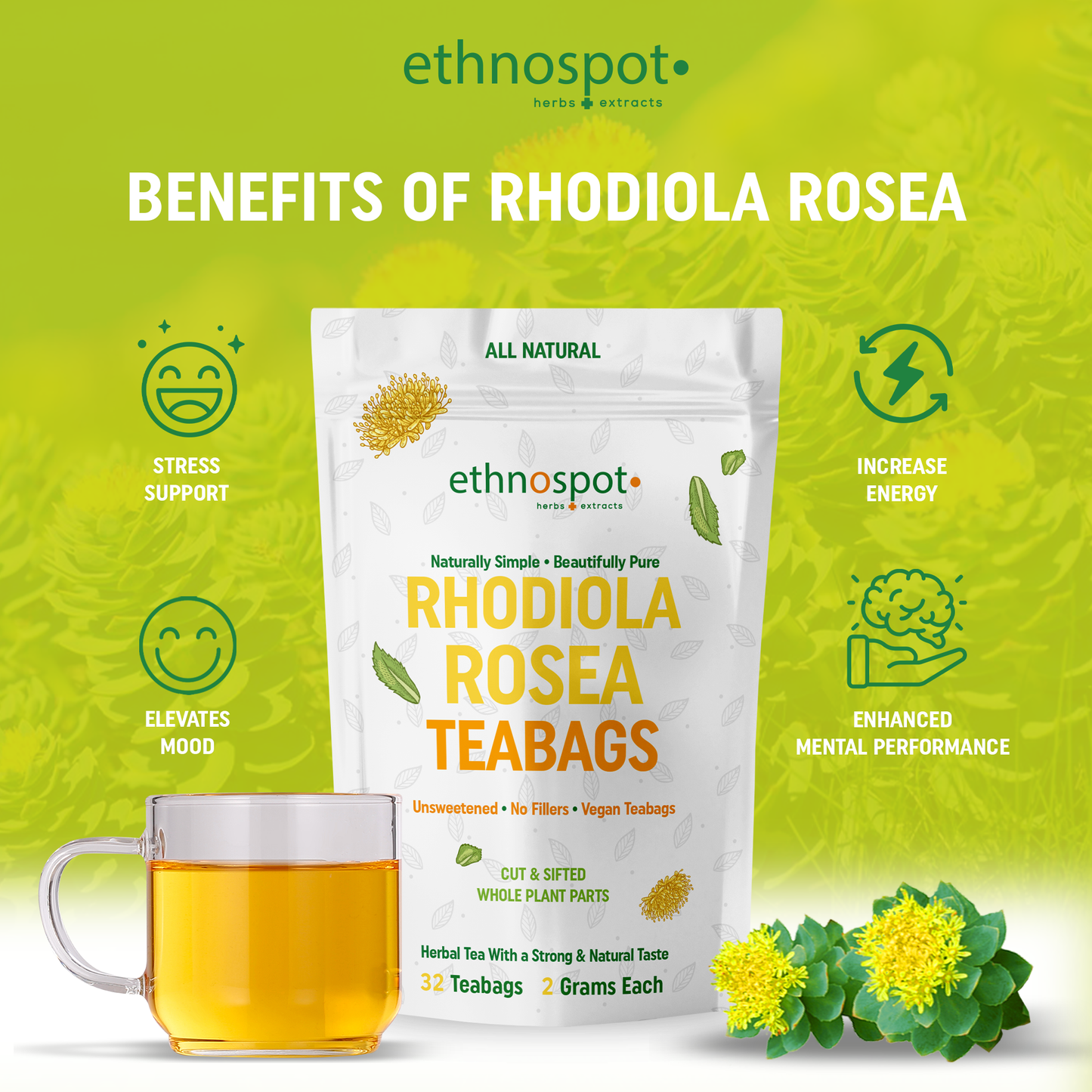 Rhodiola Rosea Teabags, Pure Rhodiola Root Herbal Tea for Natural Energy & Clarity, Adaptogen Tea for Balance and Focus, Vegan & Unsweetened, 100% Natural Ingredients - 2 Gram Teabags - 32 Teabags