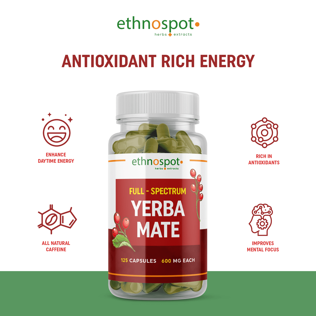 Yerba Mate Capsules Mental Clarity & Energy Herbal Supplement Ethnospot