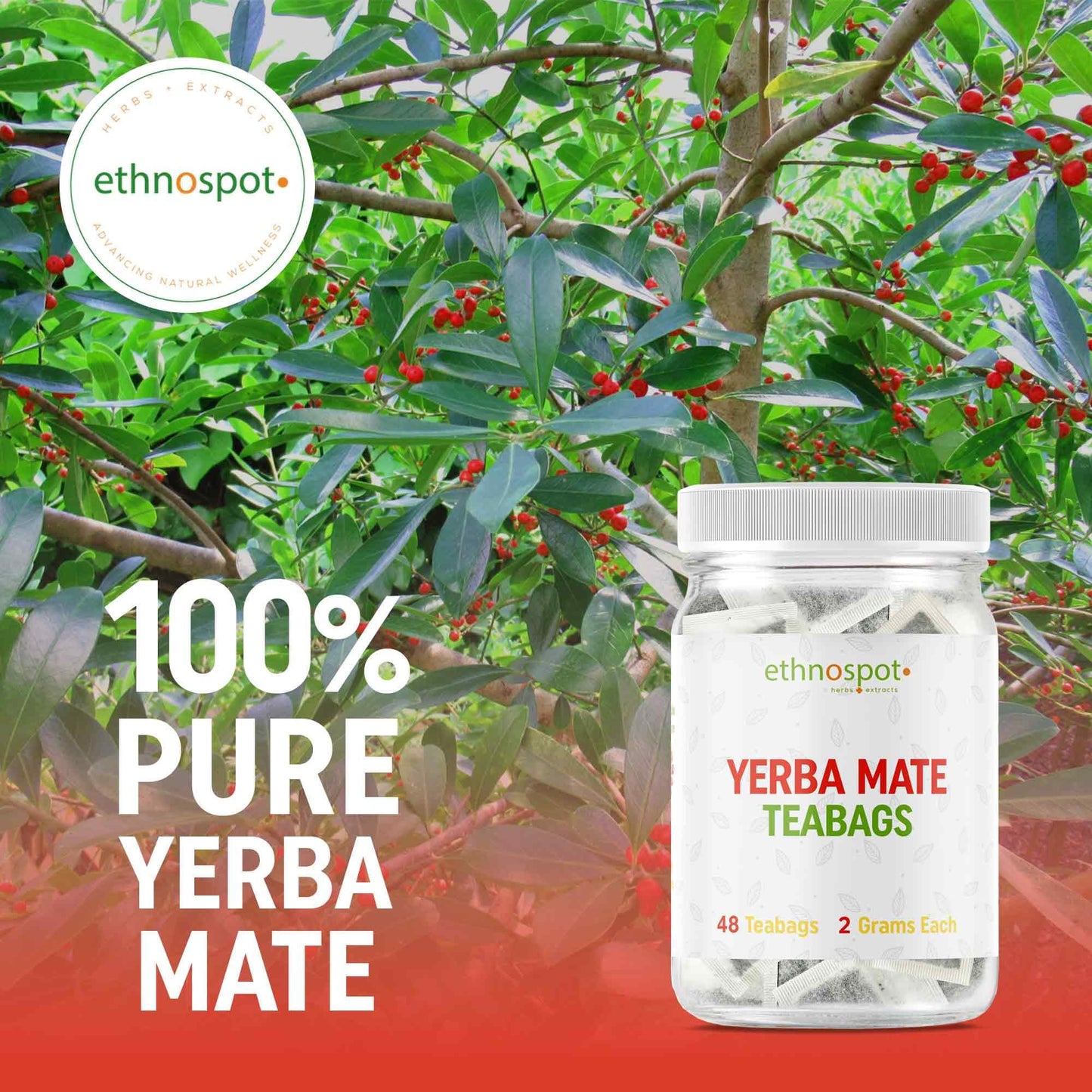 Yerba Mate Teabags - Mental Clarity & Energy Herbal Tea